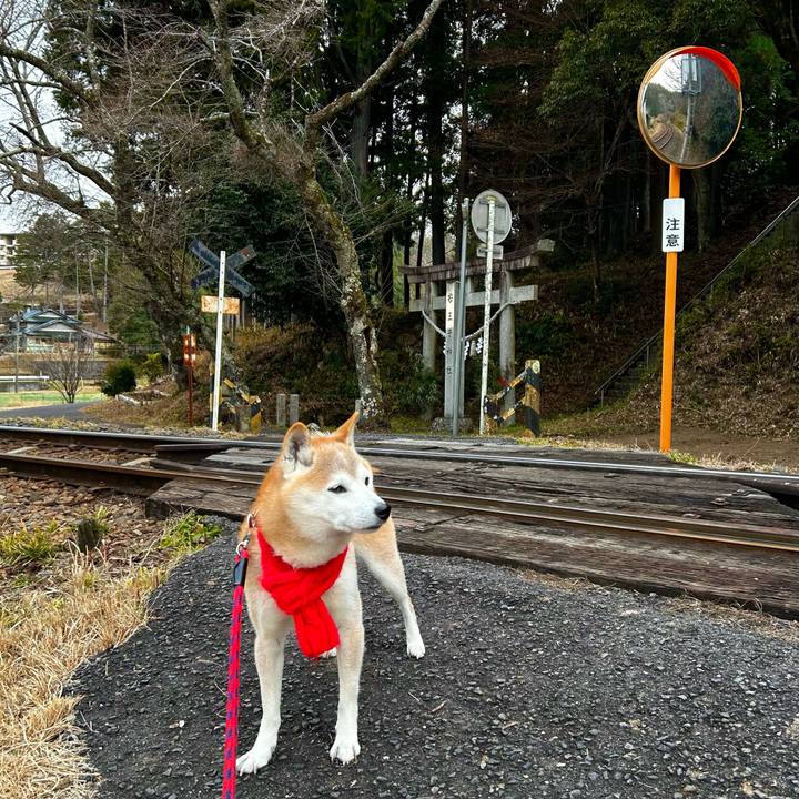 Ad8288ed 72cd 4542 a5aa bd9b627da6fc 1767343652297