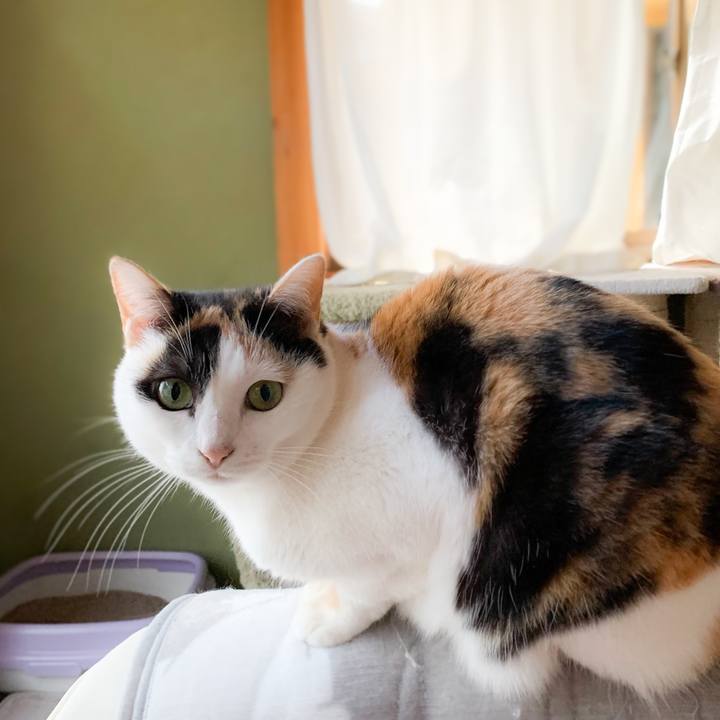 Ad8292be 625c 4f0e b012 880c17e6e668 1581209481264