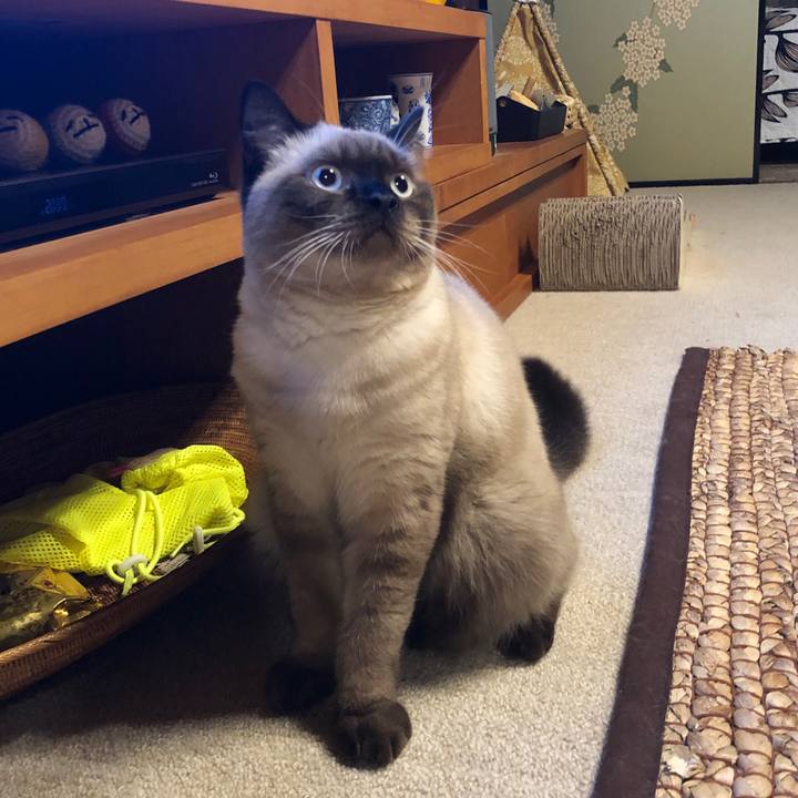 Ad82b332 4252 4738 84e1 30acc97df0ce 1600401732764