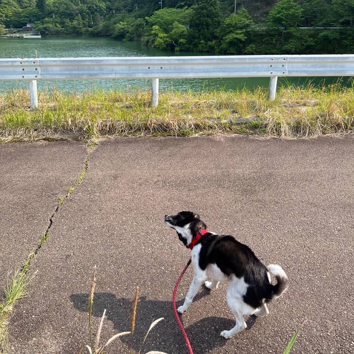 Ad830325 5a66 4764 95a4 50d1cbe42623 1684712760852