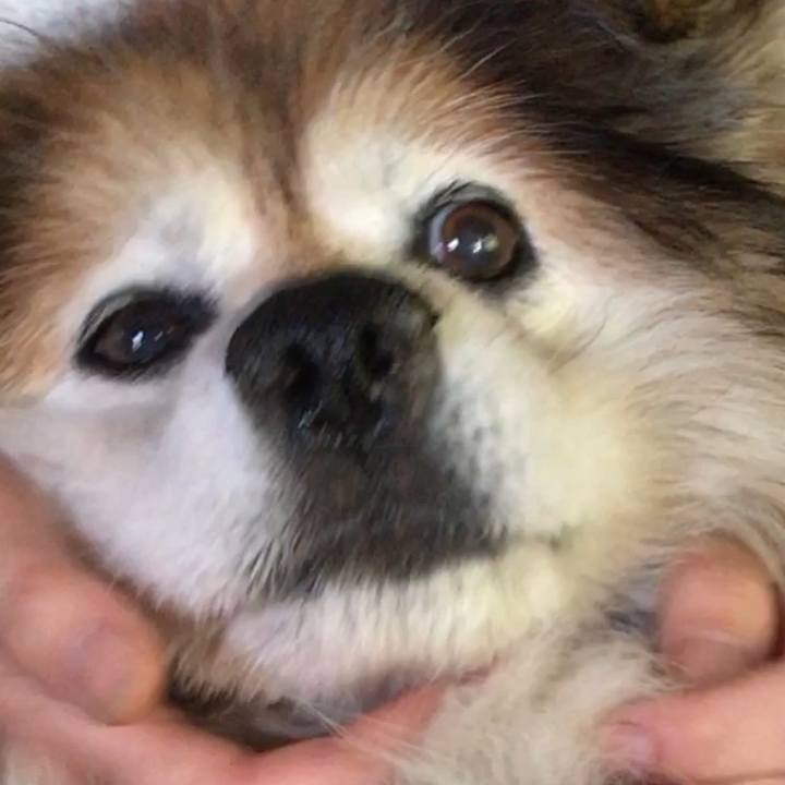 Ad8305cb a98a 4004 a081 d183bcc2d9a8 1558182261533