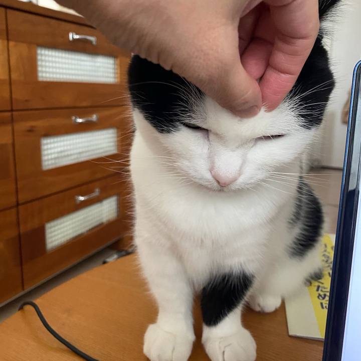 Ad832b46 2343 4c86 917e 3ae4417b8eea 1760655529106