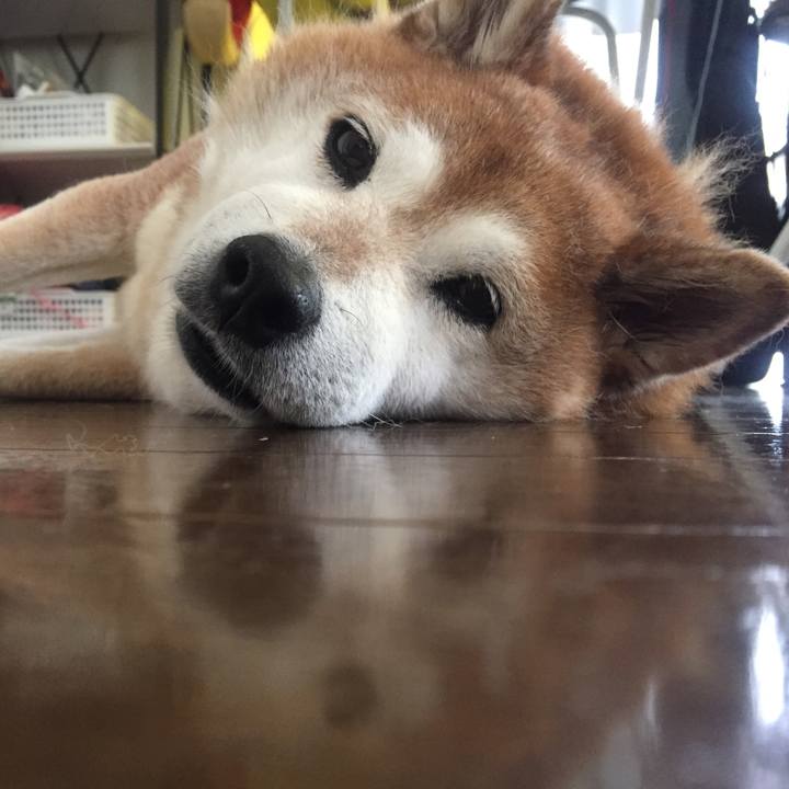 Ad8372c3 1d3a 4a9b b7f4 f544f085bd8e 1561028497795