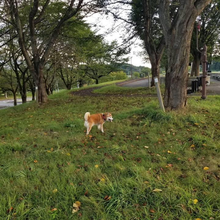 Ad83878d 1ad2 442f 96cb b4544cfeea24 1726041515713