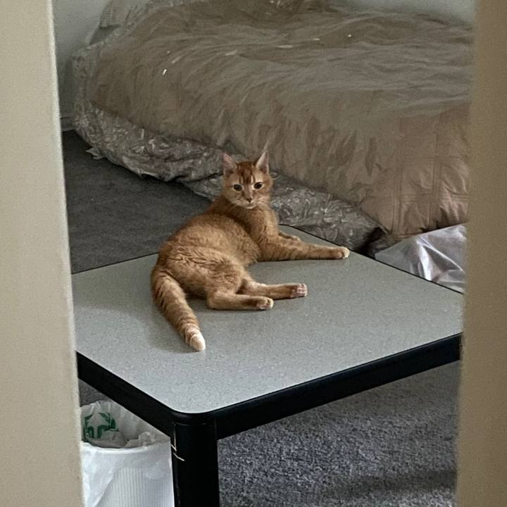 Ad83bc84 e9fa 4e03 b848 15f756136946 1769544002734