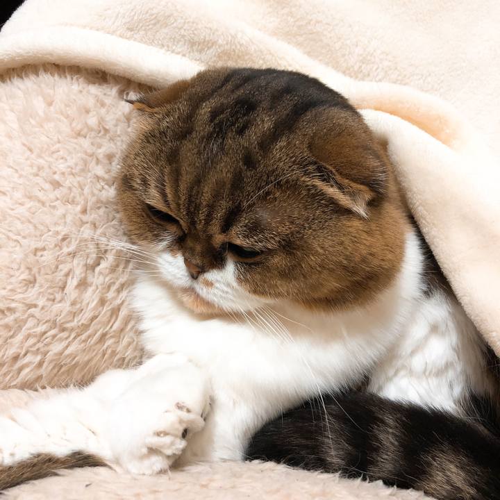 Ad83de53 dbd7 440b bb08 10947d61c964 1545668441176