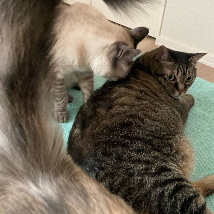 Ad840733 7e4c 483d a7fd e28ebee3fc4a 1719544709899