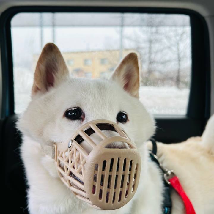 Ad842a46 8aa7 4015 a9d6 500b3724fdb6 1772757803940