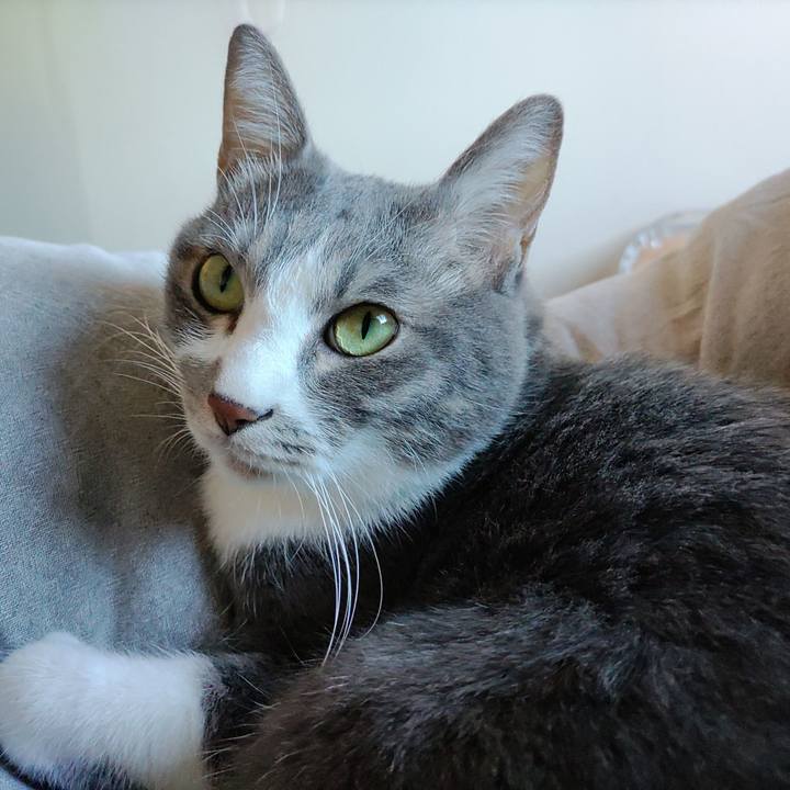 Ad844024 9ac0 4add a056 b921c2a0c90a 1702780524814