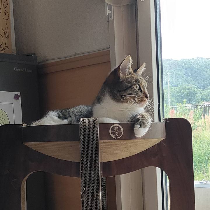 Ad846501 ac14 427e 8cae 7f6c5d475f65 1684050752689