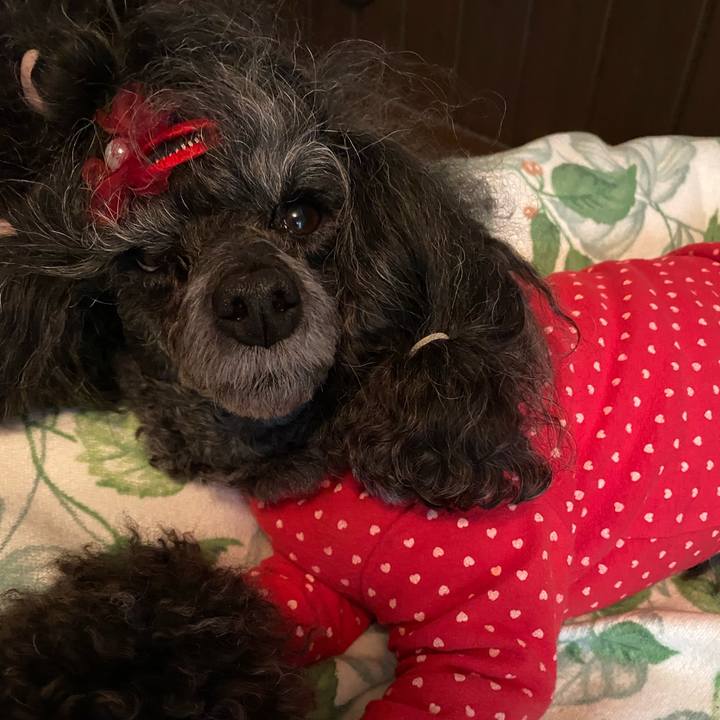 Ad847135 6ee6 4dbe b86d 5e561ce8817f 1717415506843