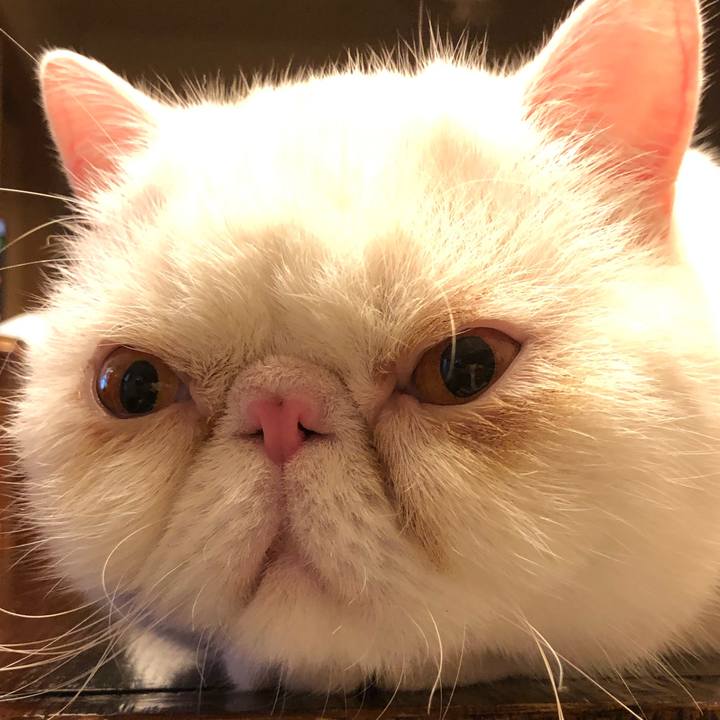 Ad84d085 e403 41fd 86f3 5a0181ff1da2 1632479310147