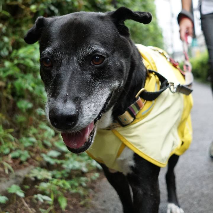 Ad84d4dc 4122 401b 8928 75cc26e223ee 1757718897242