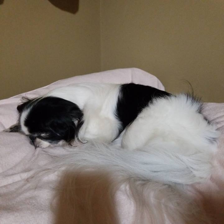 Ad84d6f9 47e2 4eee 80a4 cbdfef69d62e 1542285192764