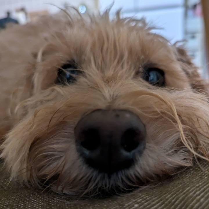 Ad84deae f378 4eb3 8d59 22ee60d2d169 1726527080595