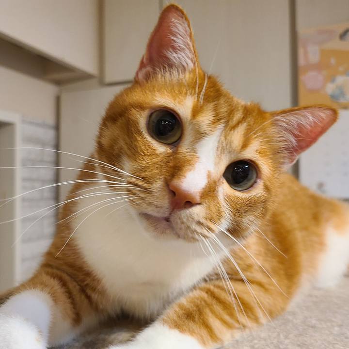 Ad84eeef 056d 4624 a9af 42f46b0e8cd3 1661083747069