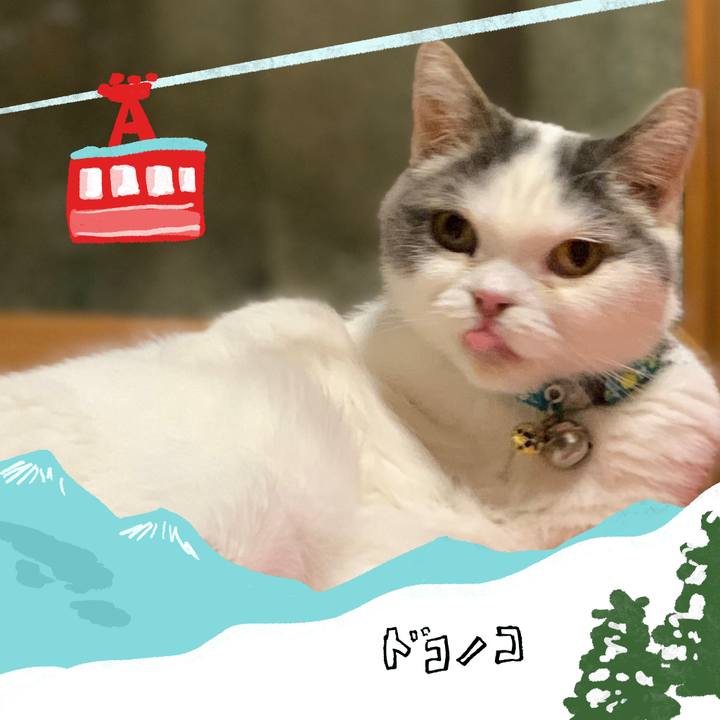 Ad852081 b549 4f52 90f2 9be90c90f396 1706976429312