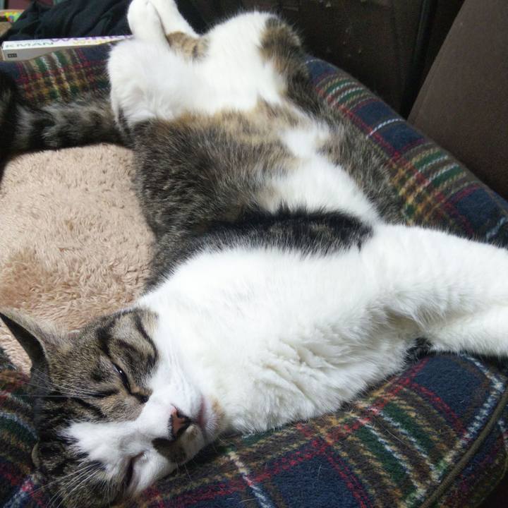 Ad852498 5aec 40fb bf0f 4d068b4759cd 1663065050740