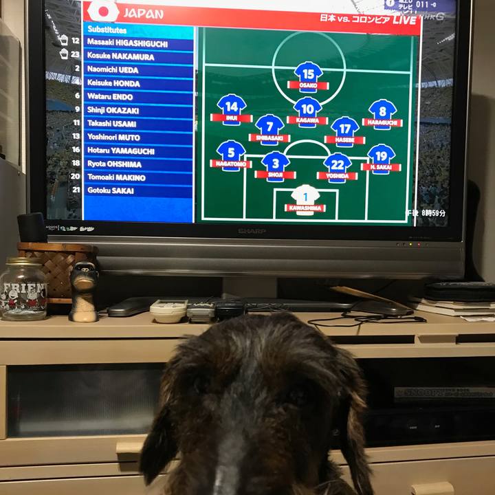 Ad8526ac 925d 4139 85a5 a5e0c1f24248 1529410510370