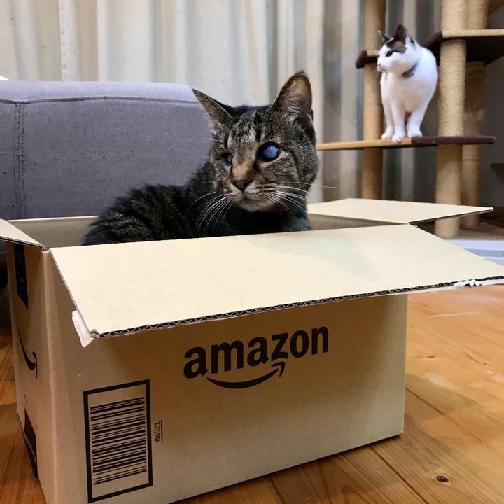 Ad8532a7 861b 4544 ac7a 1f9e61f3df04 1613635003438