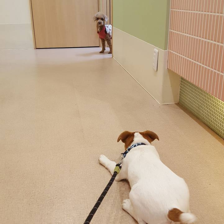 Ad854888 ba78 41bf 9cae ed9658165d29 1553847157918