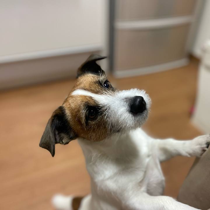 Ad854a12 9815 4766 a8e8 a333ab24987e 1735777861972