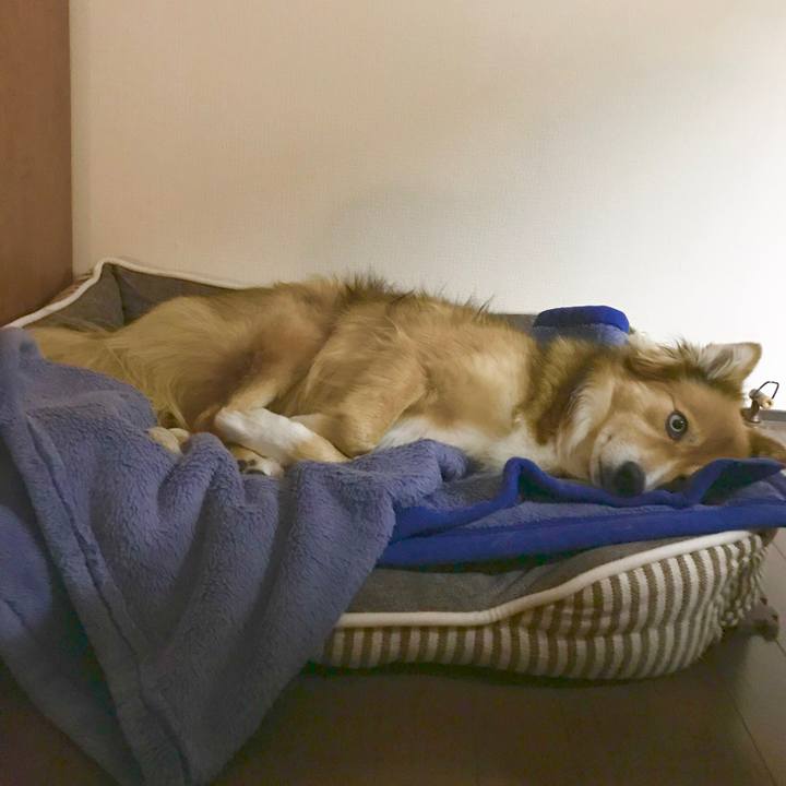 Ad855834 92be 4e04 bb79 a931e15050e6 1512992864277