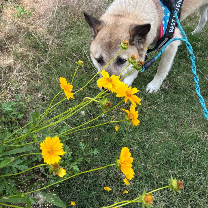 Ad856428 b5ca 4426 89e6 bee7f4c2d077 1748606661831