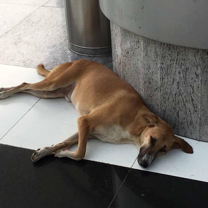 Ad859cc0 61bb 4e18 ba52 b83361a54211 1532093964079