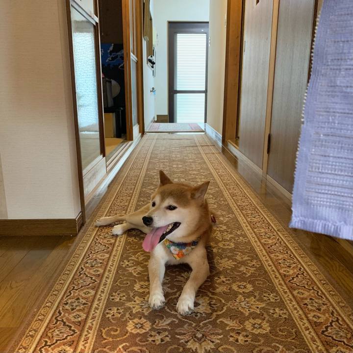 Ad85af4a 27a9 48e5 91c8 a2c6ed63675e 1626691368384