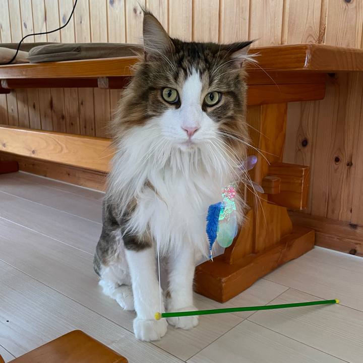 Ad85b09e 4c24 44f8 9550 b64ece05c668 1688793634683