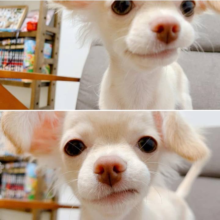 Ad861dfd f243 4cae a999 3942194fad8d 1750479080777