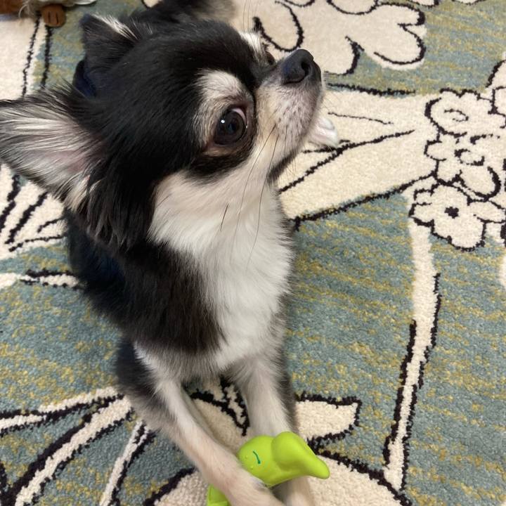 Ad863ecf 75e2 46f0 8c2b 9aaa80bf77d7 1626580308829