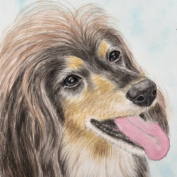 Ad8684e0 43ec 476c 91b6 230621714f63 1687827992757