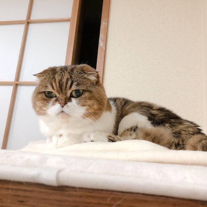 Ad86b915 4323 4d22 99c4 6ed5dc98437e 1589201981940