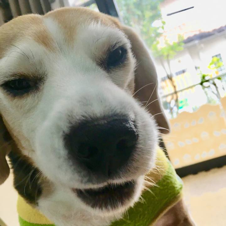 Ad8703dd fb20 478e 8d20 07c3a4dcd6fa 1551248475454