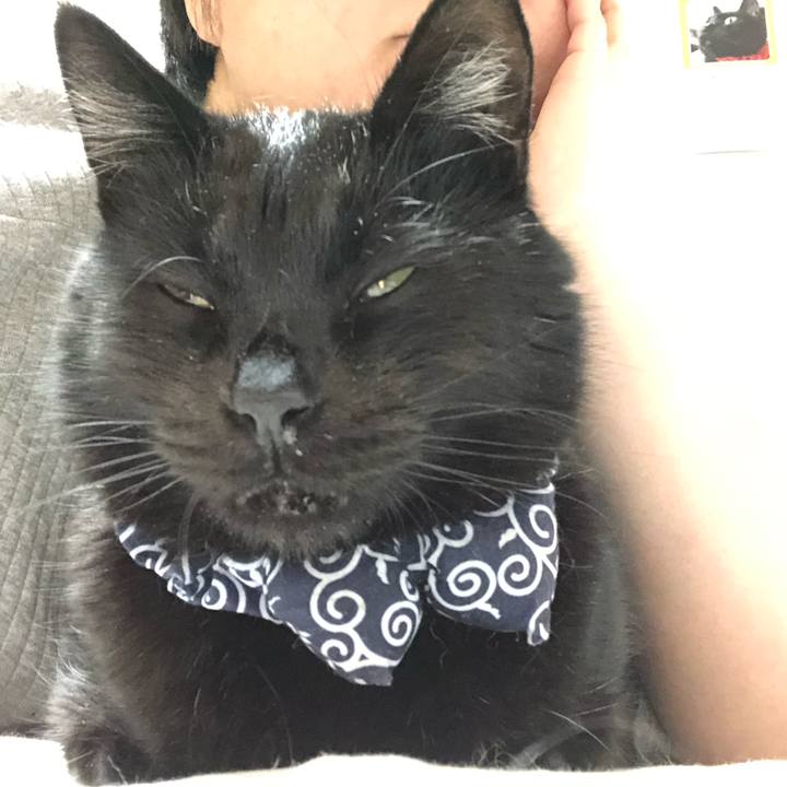 Ad8773d2 f048 488b 81e3 e6144acab008 1578838417043