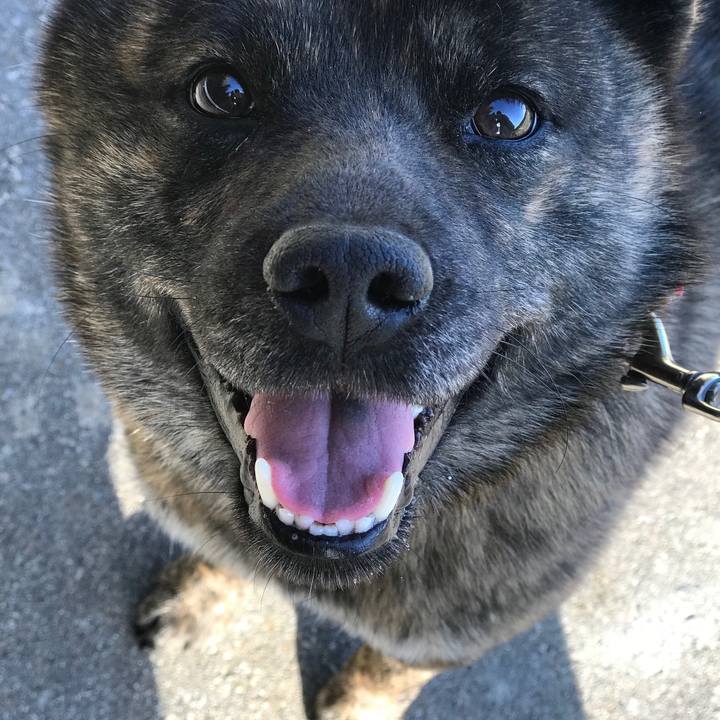 Ad878e46 c543 4796 b6d1 967d6874283d 1523573279914