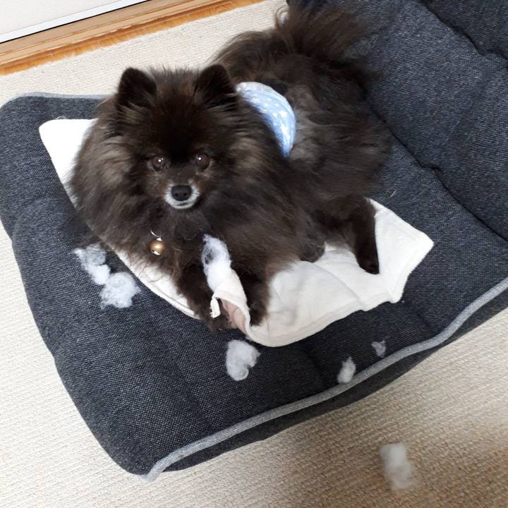 Ad879e52 cf3f 4946 ac28 77bac79e1ea8 1519762230432