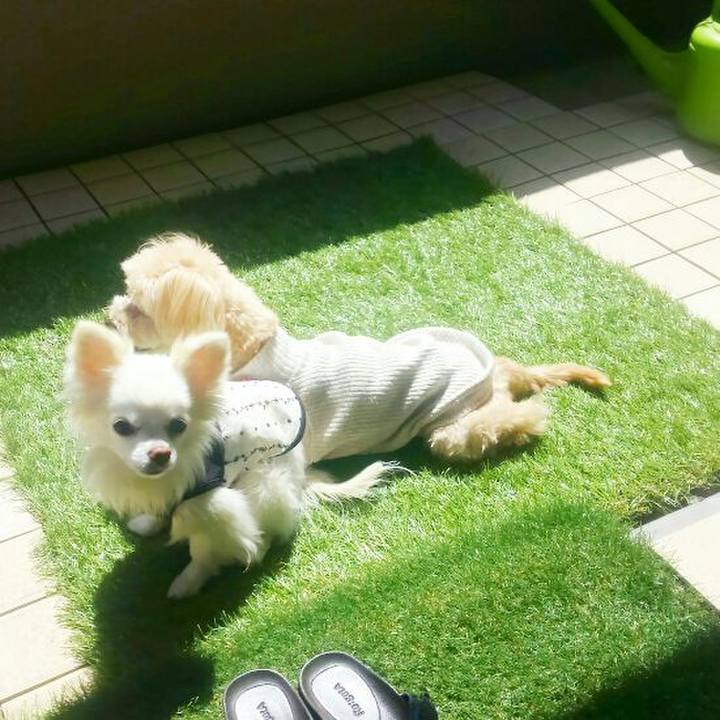 Ad87d120 9279 4ae0 89e3 8686a31d5d6e 1522903547593