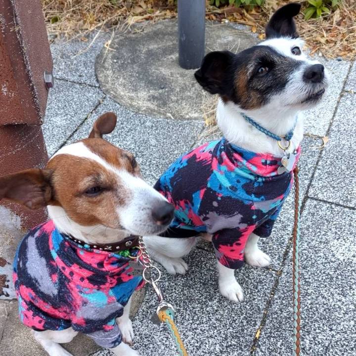 Ad87dad2 c7c6 4250 abf9 53677529dd47 1736637262947