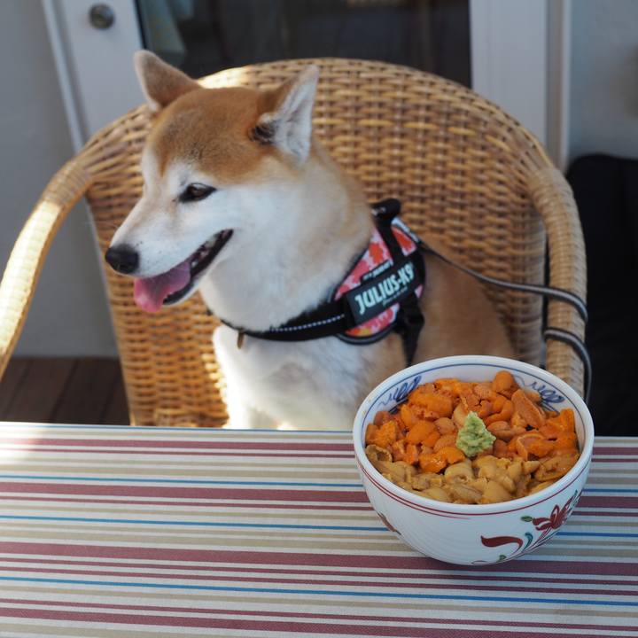 Ad87dc34 f6ff 4c72 aee7 89c1d08e7022 1597218356300