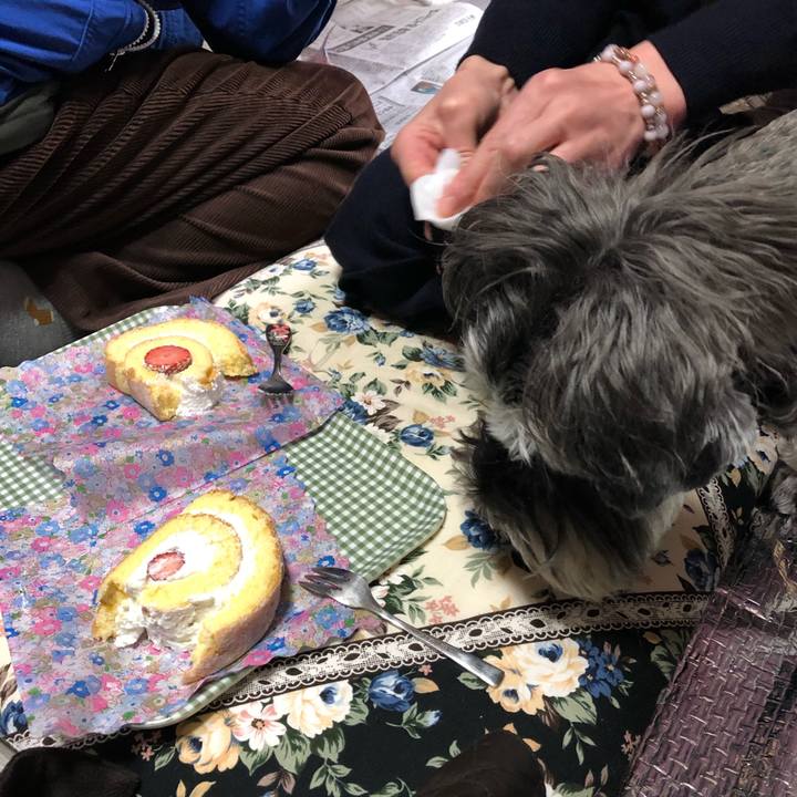 Ad883a1d c47c 4c29 ae2d fb2f26bc6350 1584164504967