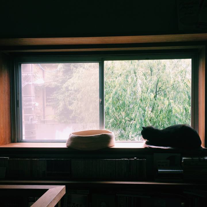 Ad885392 1973 4082 97e1 87ebf0de91ab 1595114319200