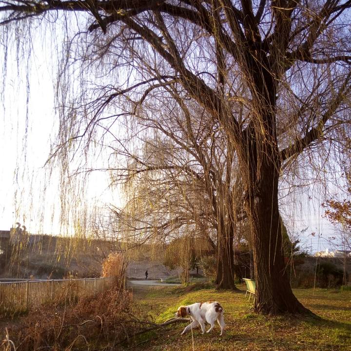 Ad888f09 957b 47cf ba2c fd01b51963a6 1514533708585