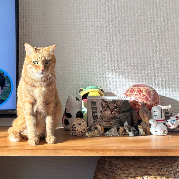 Ad88bd71 c9b3 4642 acfa 6d71808a965e 1763077998832