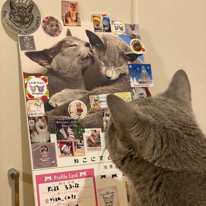 Ad88daaf 5dbb 44d0 aab2 6998e46188e7 1639905851209