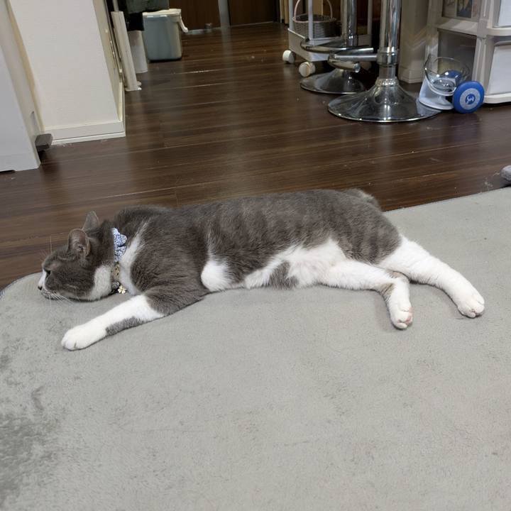 Ad8916a8 e602 45a4 bb33 c16509b2811e 1754829598998