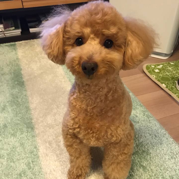 Ad893882 2349 4ed2 ac11 bb42e8a867eb 1525173323229