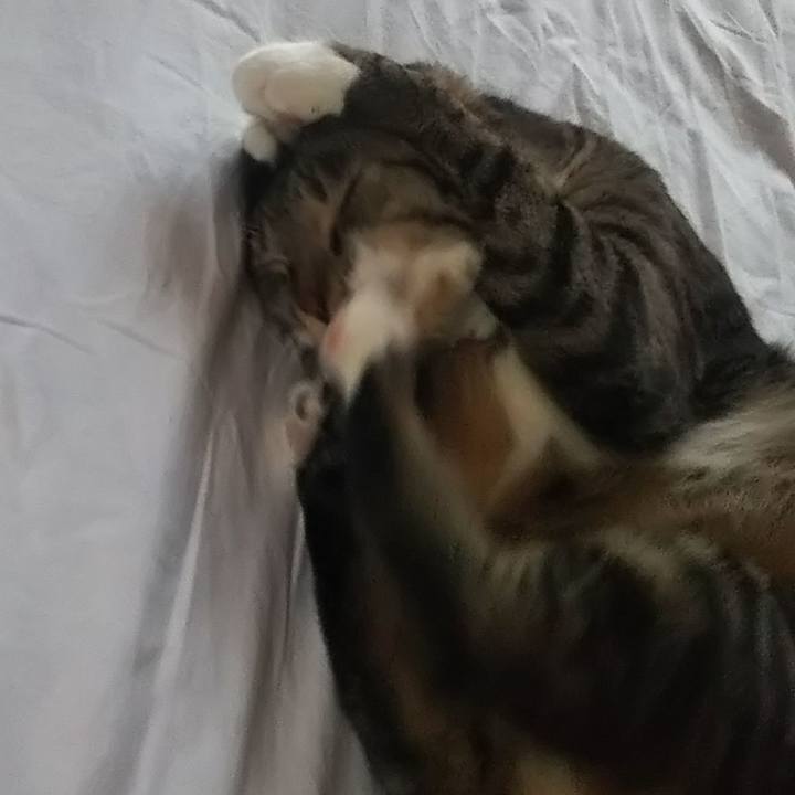 Ad8946c9 fc0e 4317 8006 1d5ba45c889d 1630917598107